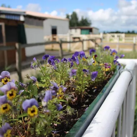 Reiterhof An Der Nordsee Witzwort